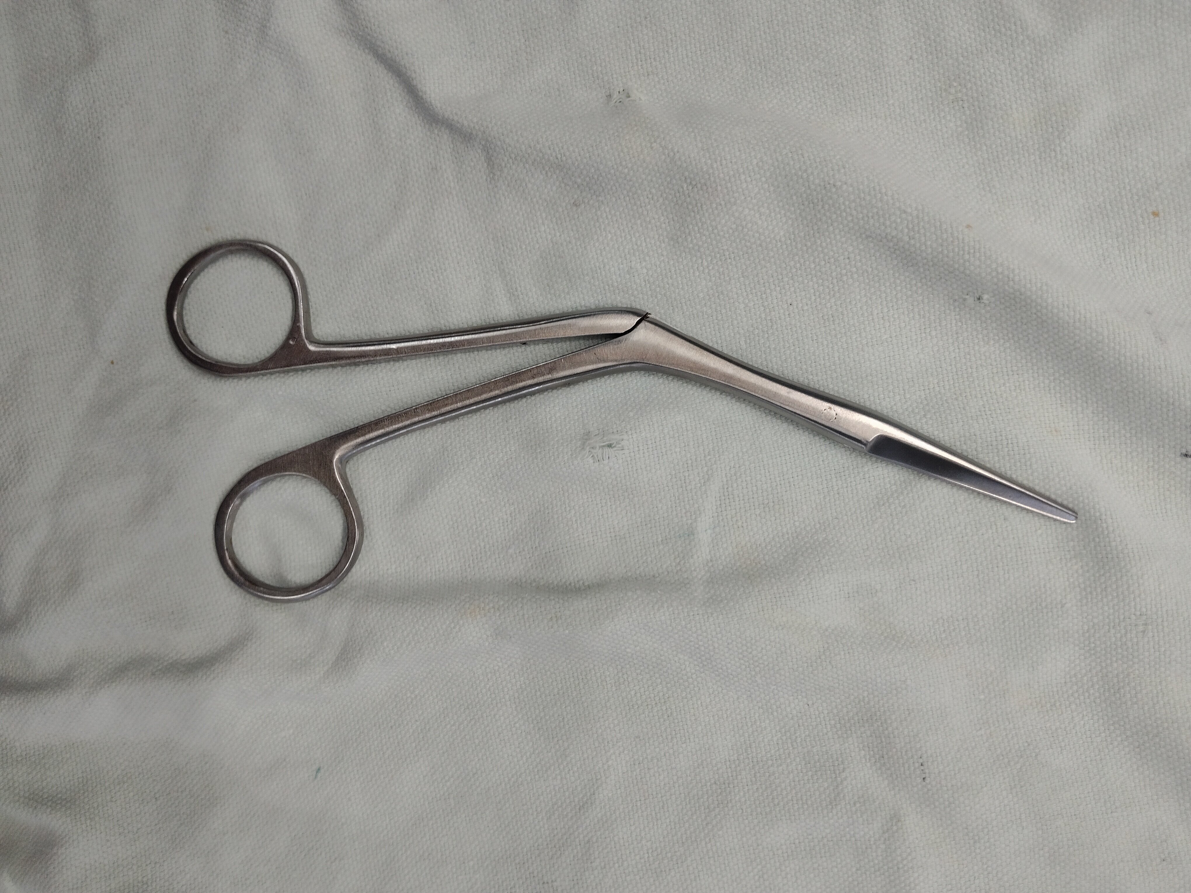 Turbinectomy Scissors